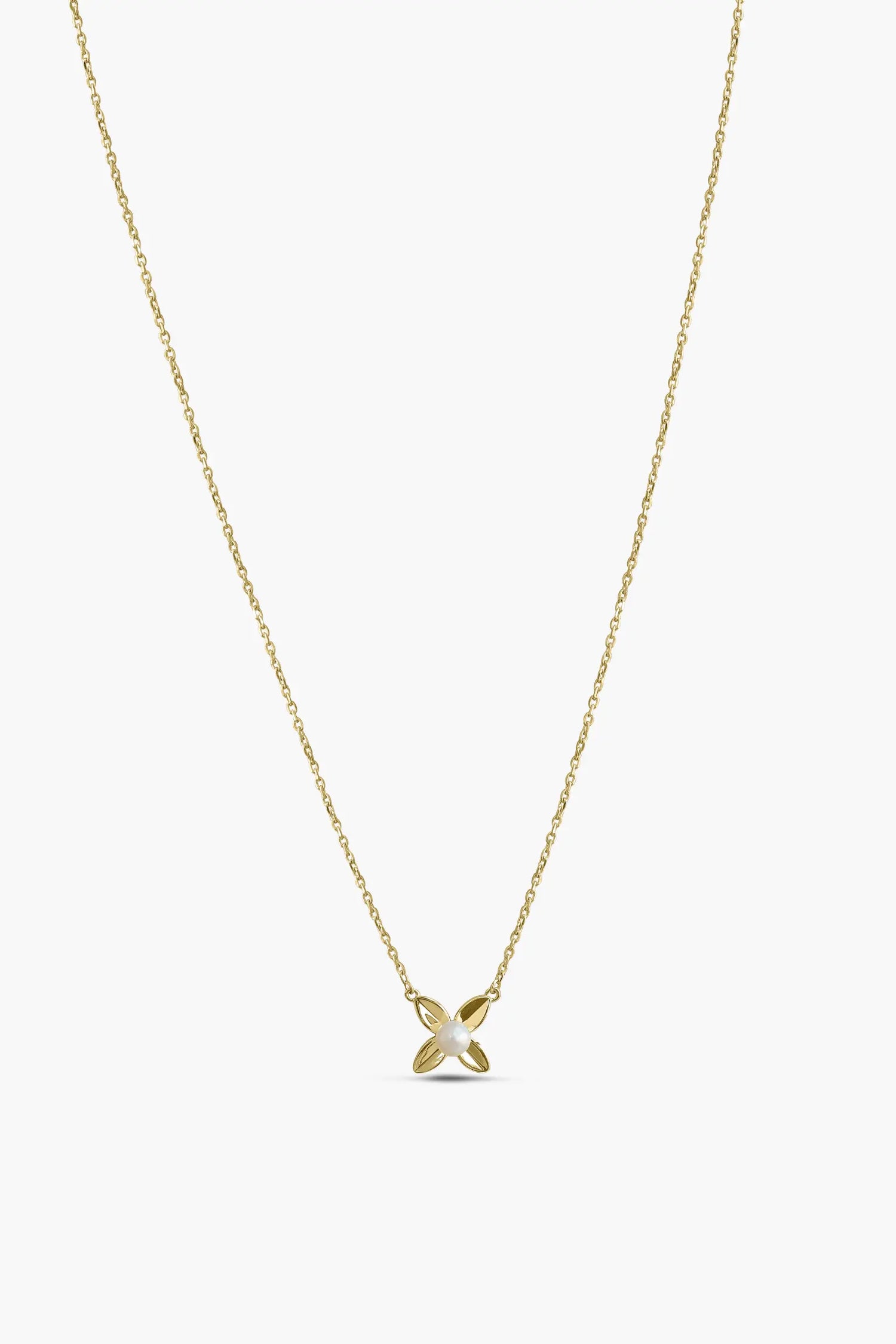 nola chain