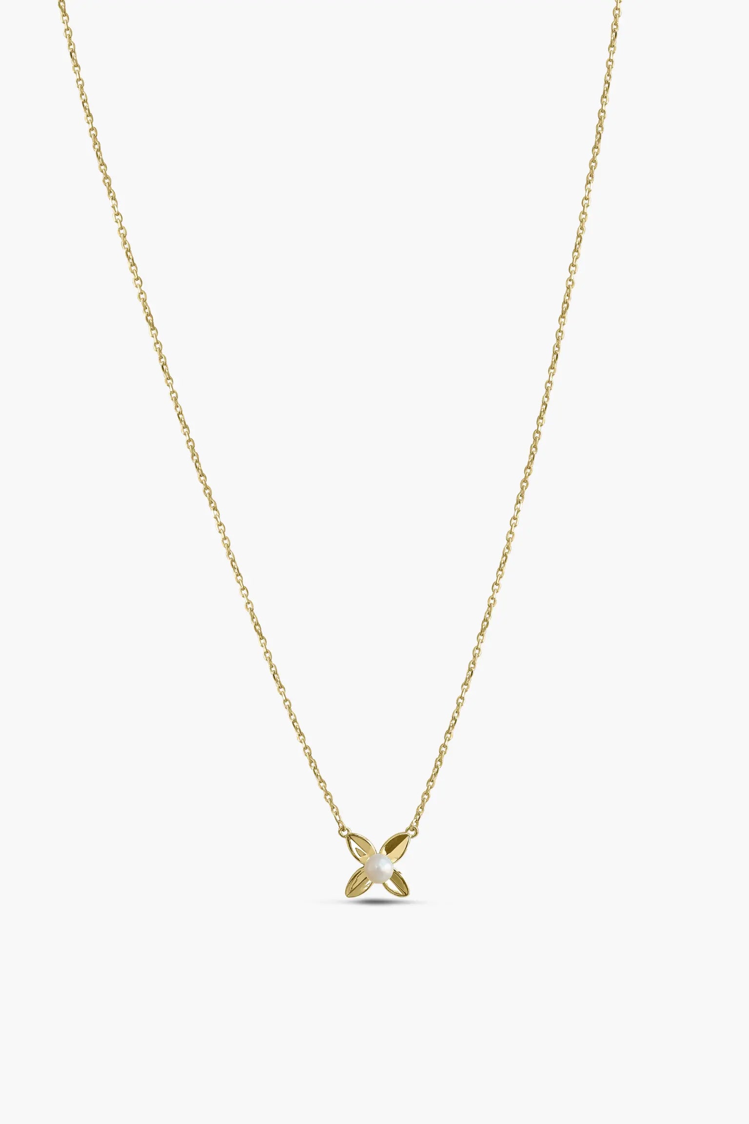 nola chain