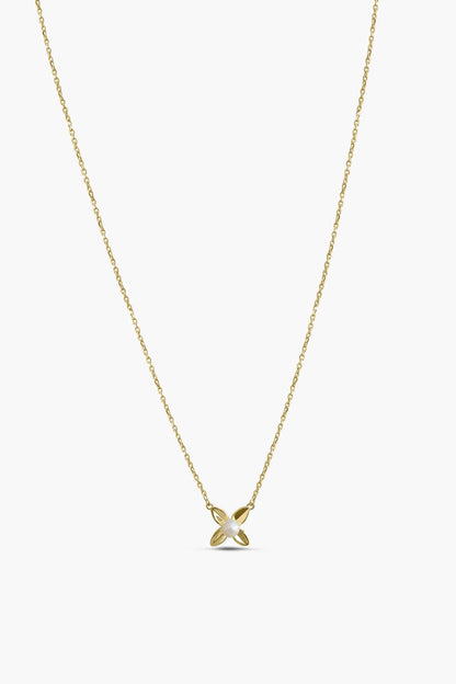 nola chain