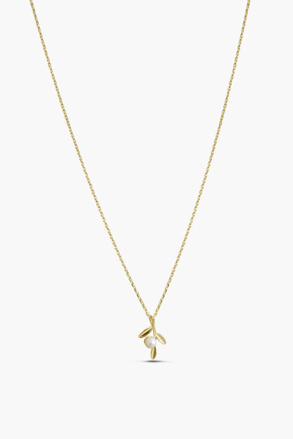 fiora chain