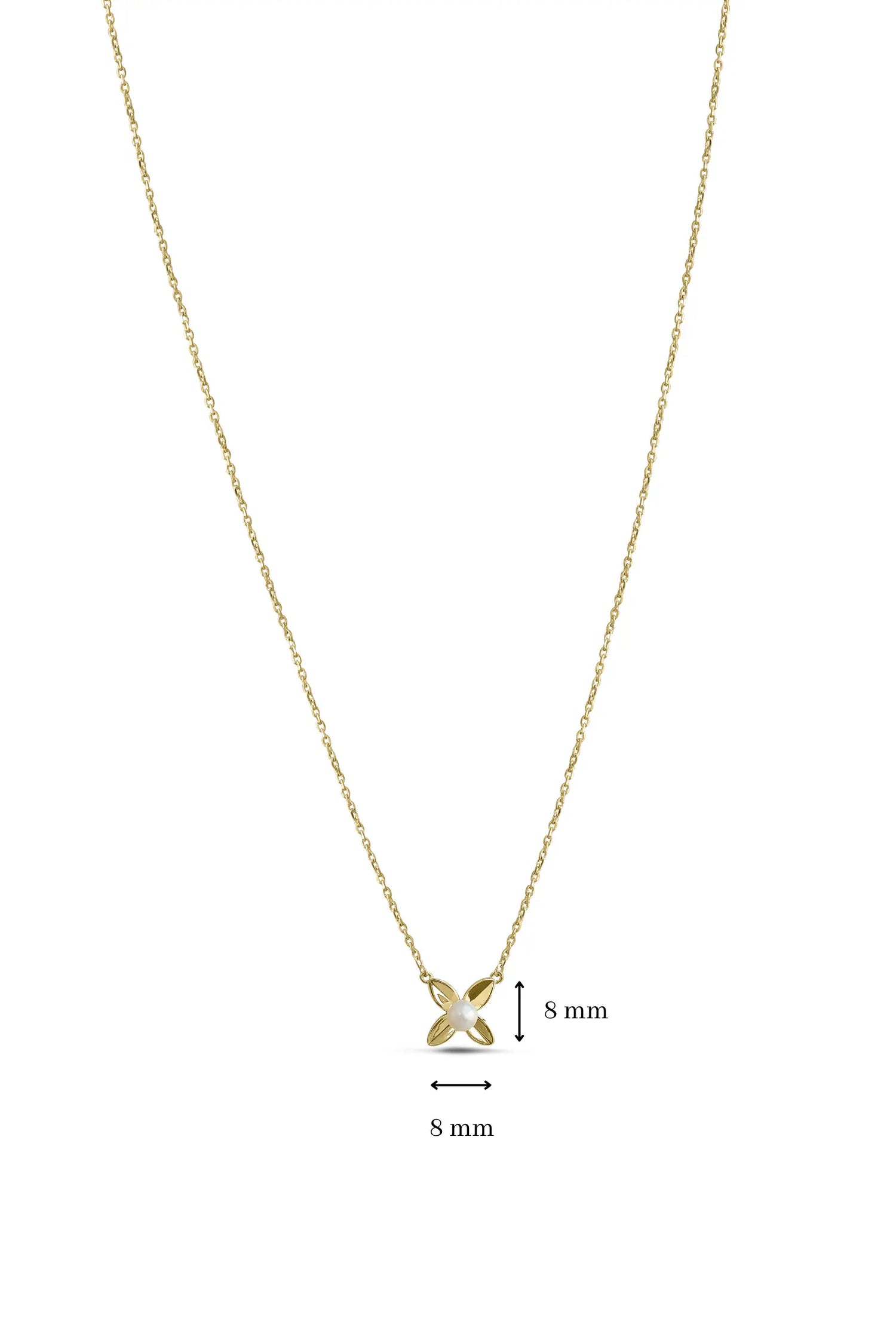 nola chain