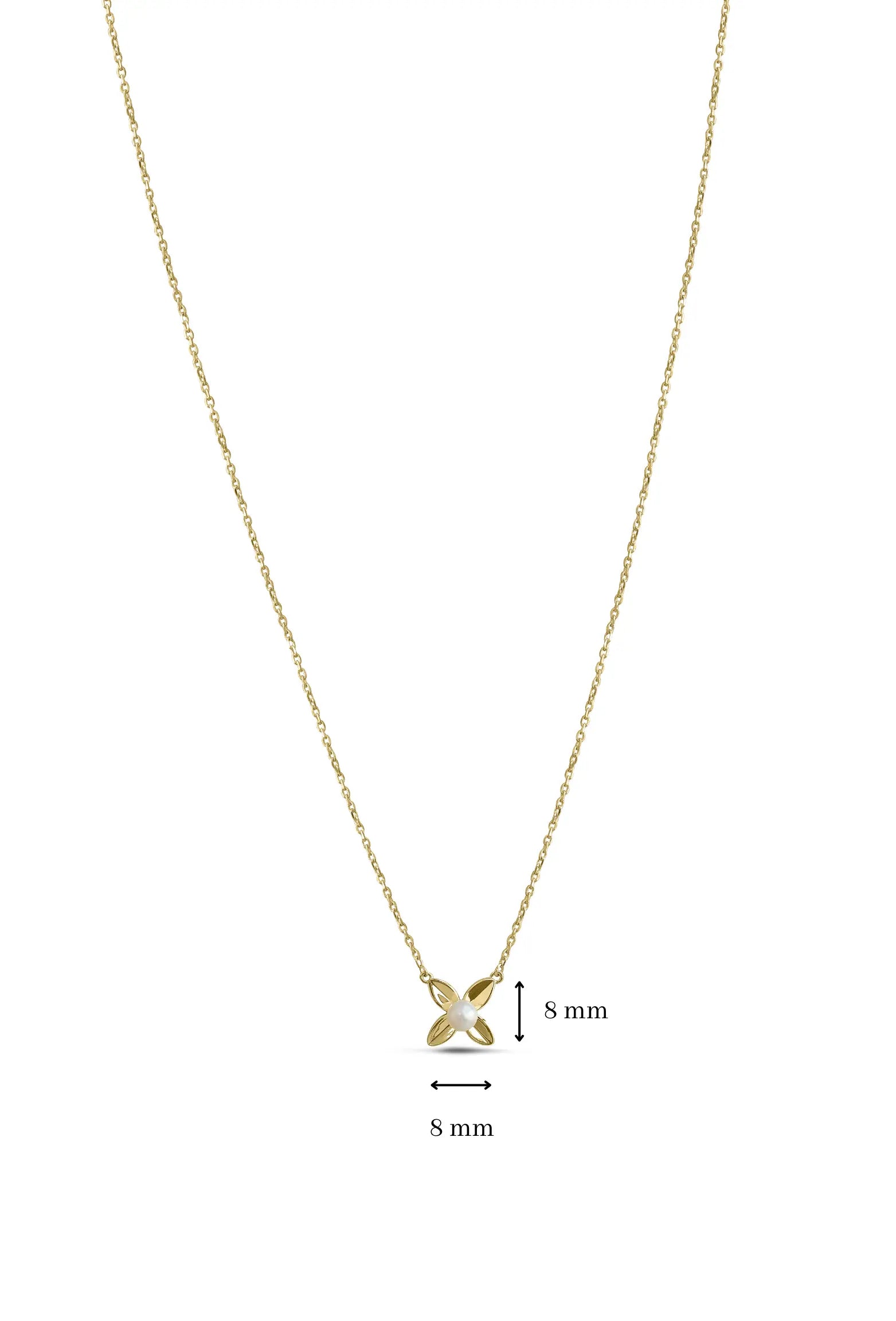 nola chain