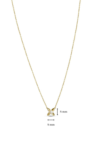 nola chain